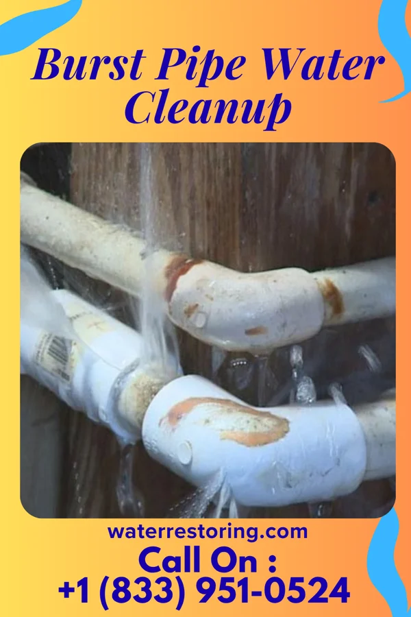 Burst Pipe Water Cleanup in Jefferson, WI