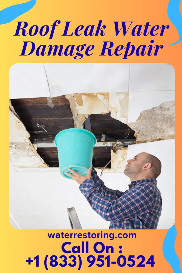 Roof Leak Water Damage Repair in Jefferson, WI