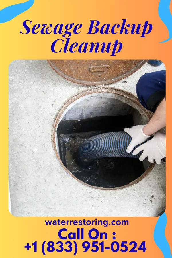 Sewage Backup Cleanup in Jefferson, WI
