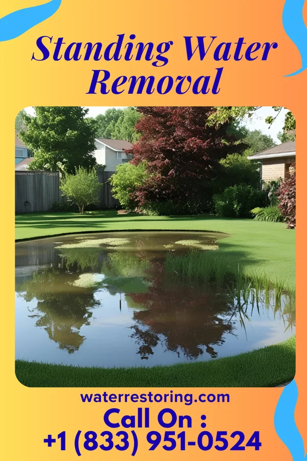 Standing Water Removal in Jefferson, WI